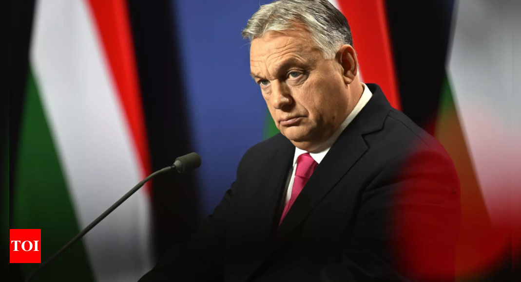 US Lawmakers Want Hungary to Back Sweden’s NATO Membership | World News – Times of India