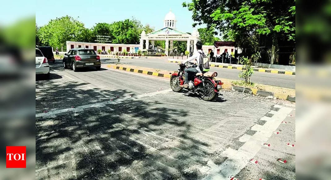 Road Humps: Cops Remove 2 Road Humps Causing 3 Deaths: Mysuru Police ...