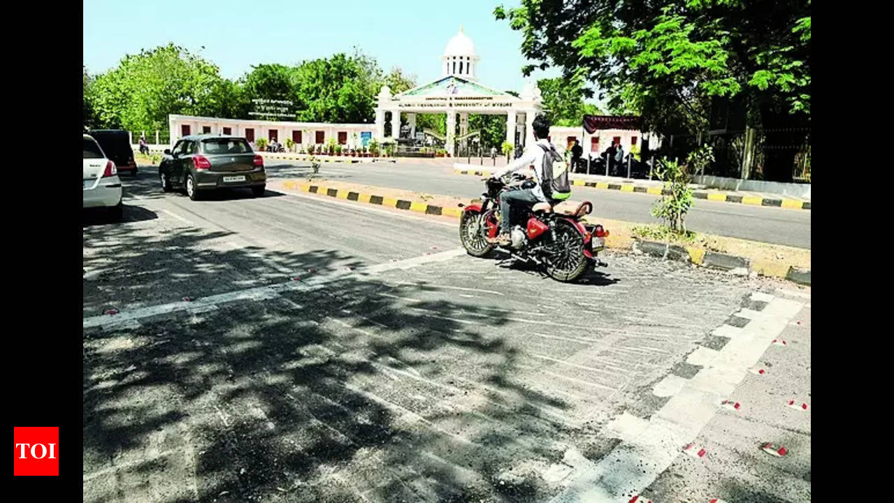 Road Humps Cops Remove 2 Road Humps Causing 3 Deaths Mysuru