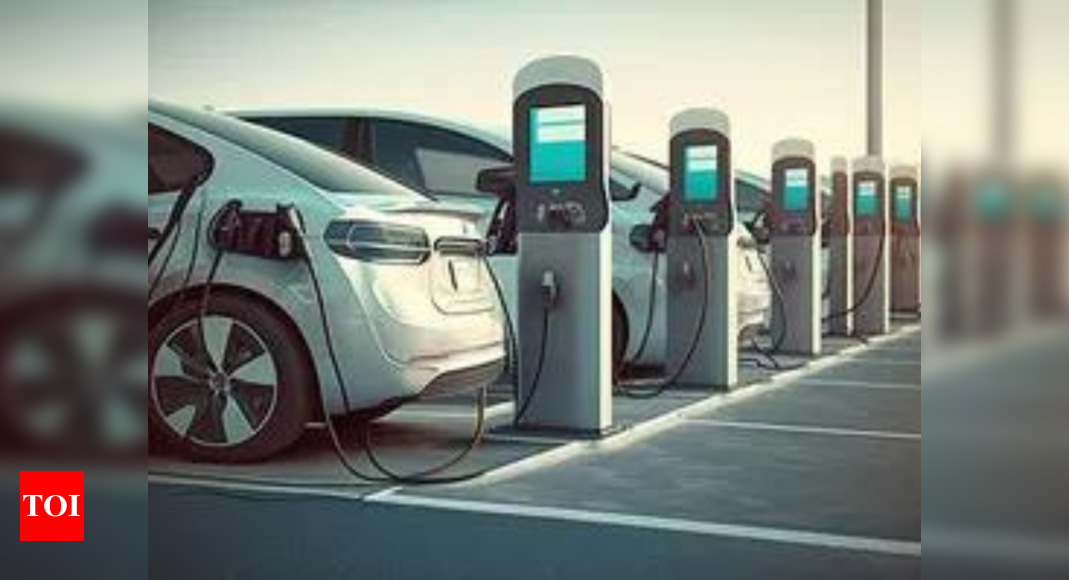 Govt to strengthen EV ecosystem by supporting charging, manufacturing infra: Sitharaman