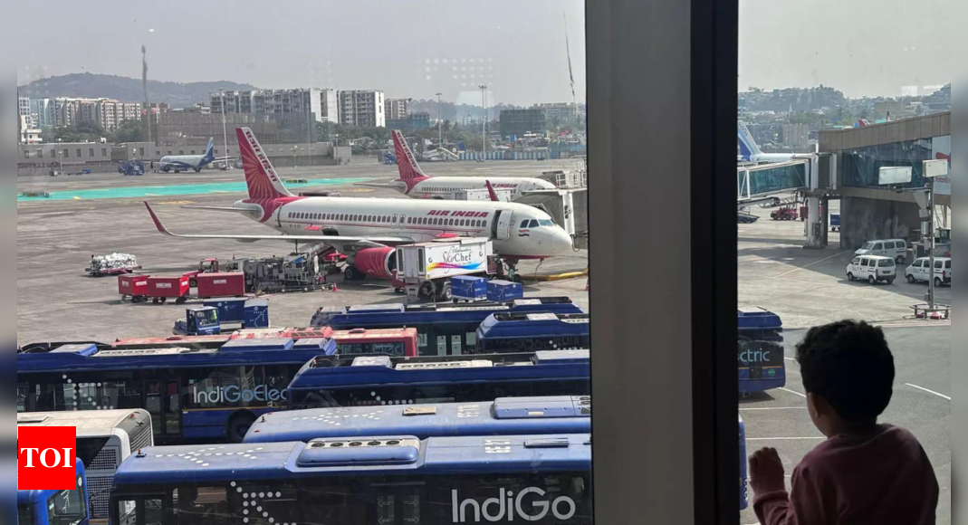 Biometric-based Immigration at Indian Airports: Speeding up Processes for International Travelers | India News