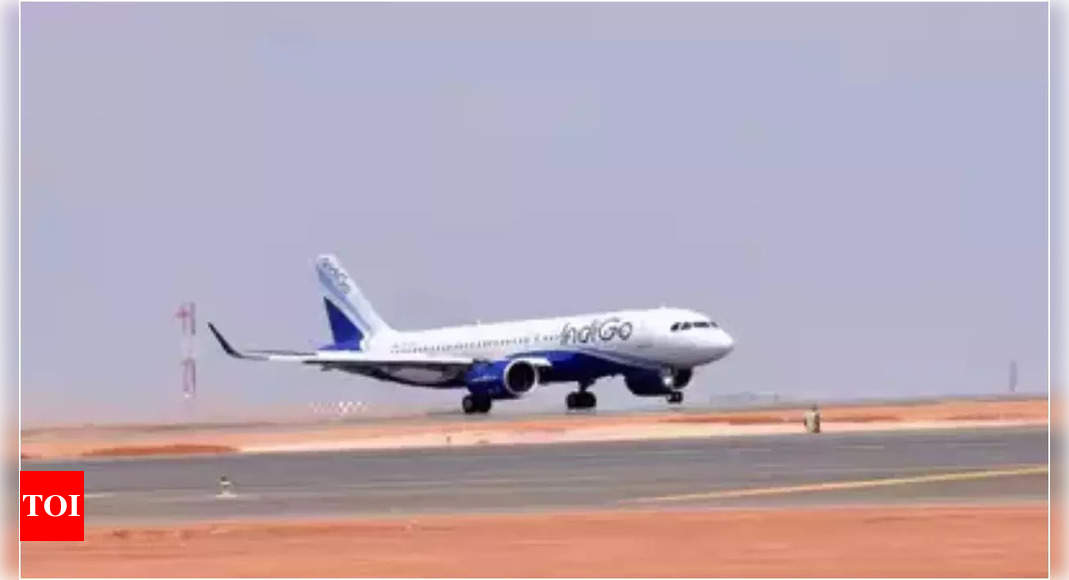 IndiGo's Profit Surges Amidst Engine Issues