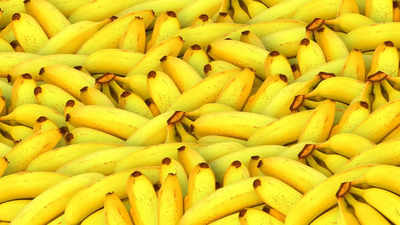 Top Reasons to Include Bananas in Your Daily Diet