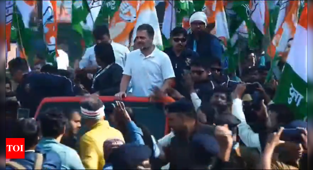 Bharat Jodo Nyay Yatra Live Updates: Rahul Gandhi Resumes Yatra From ...