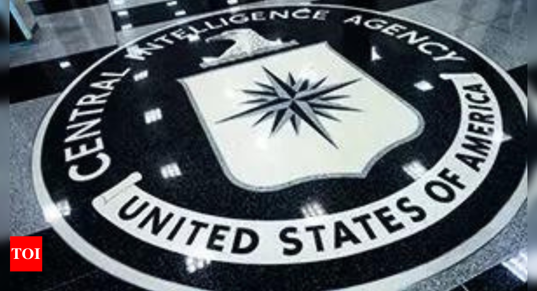 Ex-CIA computer engineer gets 40 years in prison for giving spy agency hacking secrets to WikiLeaks – Times of India