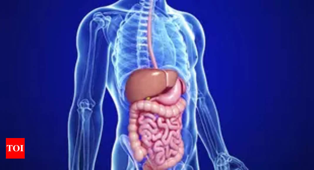 Preservatives and Gut Microbiome: Uncovering Unexpected Effects | Study |