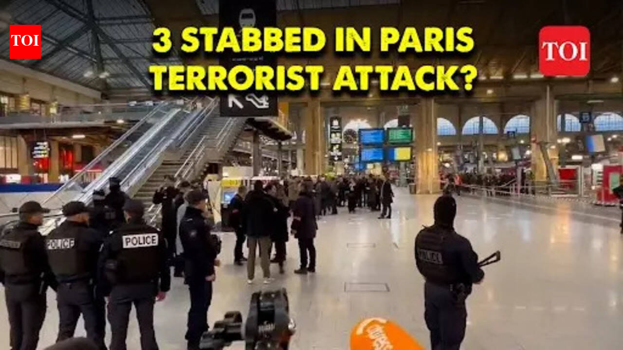 Paris attack: 3 persons stabbed at Gare de Lyon railway station, police ...
