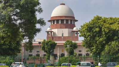 SC orders full-scale, periodic audits of 26 green bodies