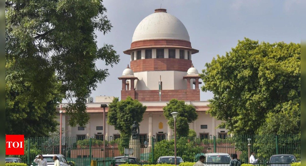 SC orders full-scale, periodic audits of 26 green bodies | India News