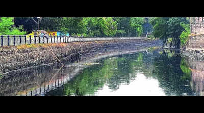 11 new treatment plants to make rivers swachh by 2028