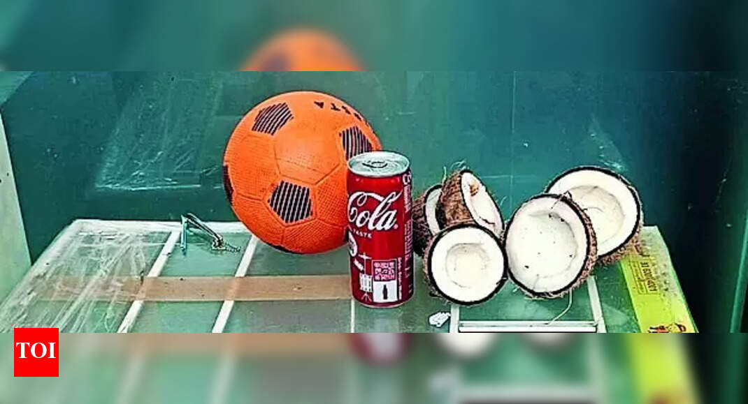 Cisf Says No To Coconut In Cabin Baggage At Mia Mangaluru News