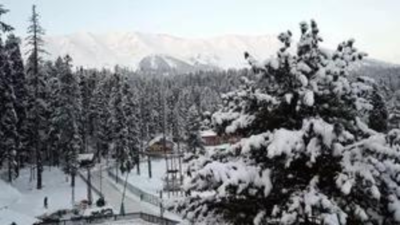 Road, air traffic affected by snowfall in Kashmir, avalanche warning issued for hilly areas