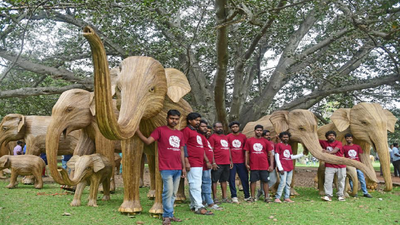 Lantana Elephants visit parts of Bengaluru promoting peaceful coexistence with wildlife