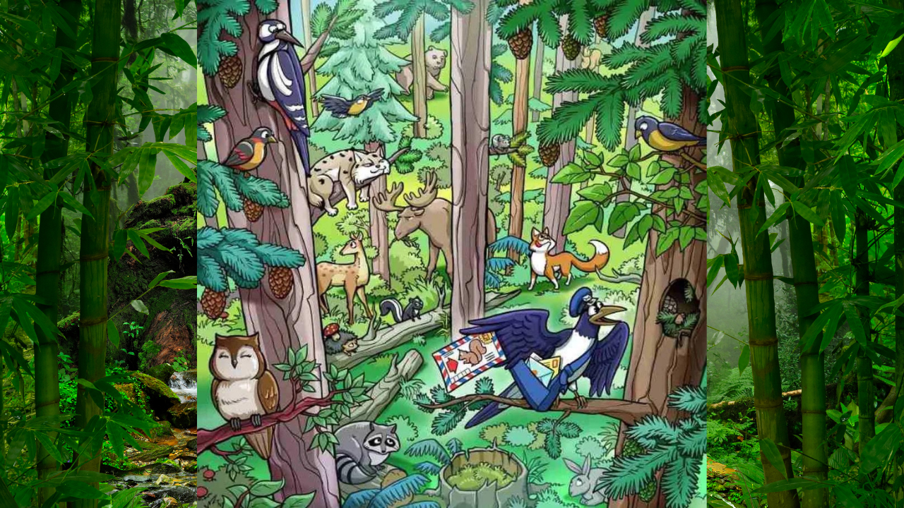 Spot the Squirrel in this Jungle within 6 Seconds | - Times of India