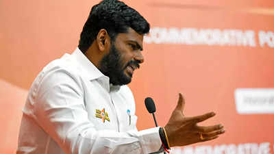 'ED will not leave those...': Annamalai on illegal sand mining in Vellore