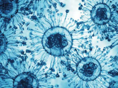 Bengaluru startup's gene editing tool tracks JN.1 Covid variant in sewage samples