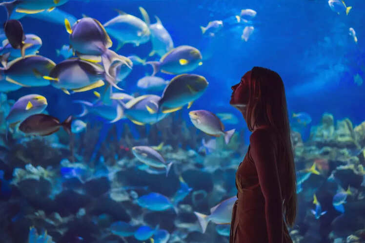 Dubai Aquarium