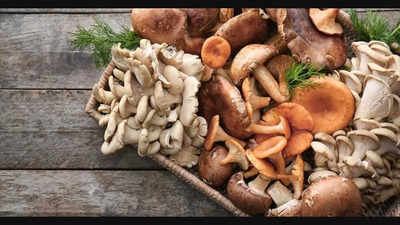 Types of mushrooms found in India