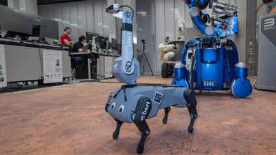 The German Space Agency is training Bert, the robotic dog to explore outer space
