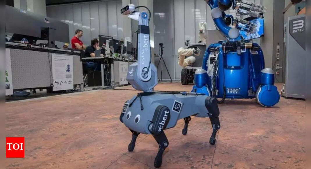 NASA is training Meet Bert, the robotic dog to explore outer space