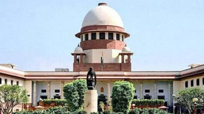 Can't go West's way, need to save institution of marriage: Supreme Court