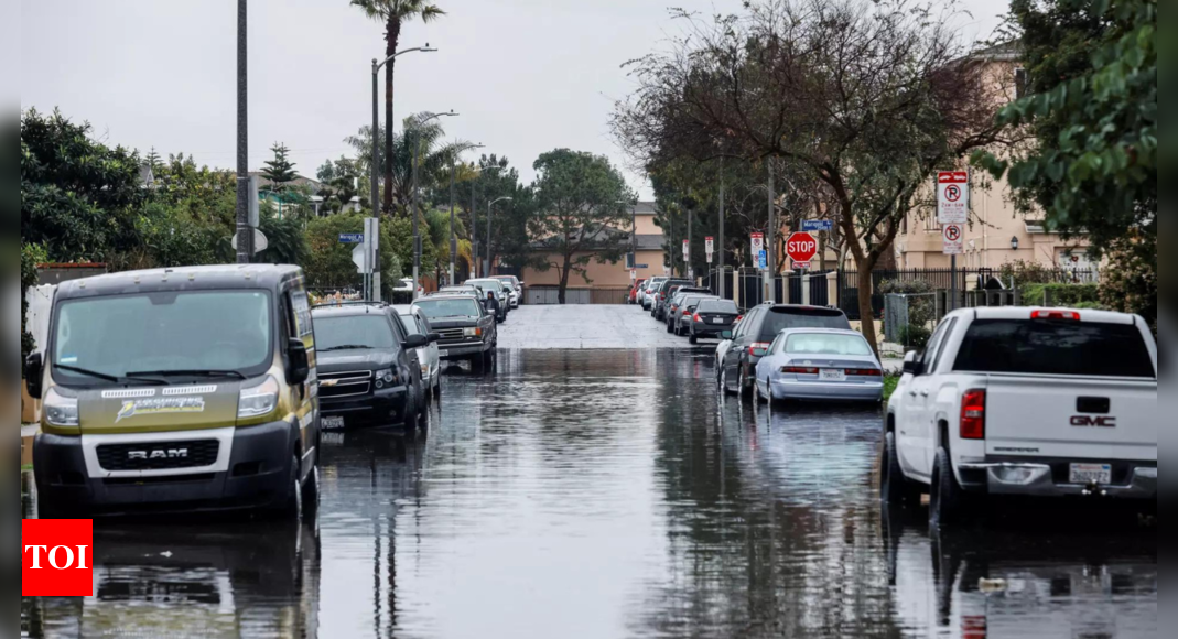 Man, dog safe after helicopter rescue amid Los Angeles floods – Times of India