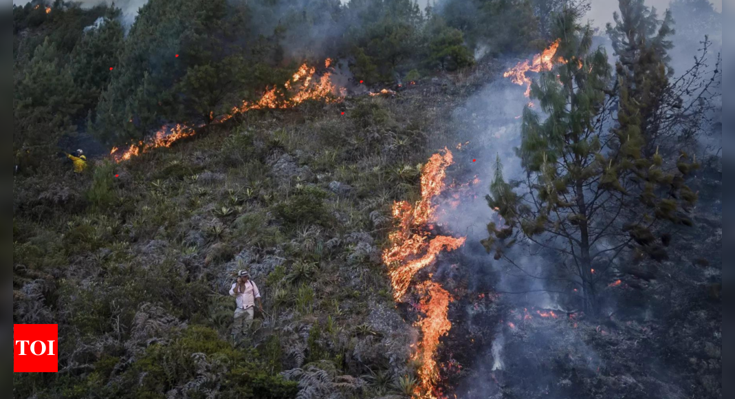 Incendies de forêt au Chili : le bilan atteint 123 morts, la pire catastrophe depuis le tremblement de terre de 2010 |  Nouvelles du monde