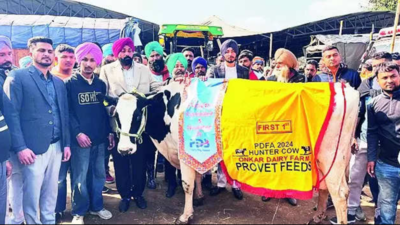 Moga farmer's 'Hunter' sets record with 74kg milk yield in 24 hours