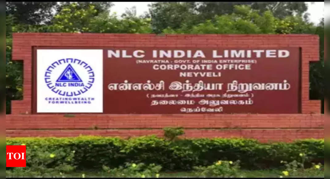 NLC Bharat releases Q3 effects with a expansion of 253% newsfragment