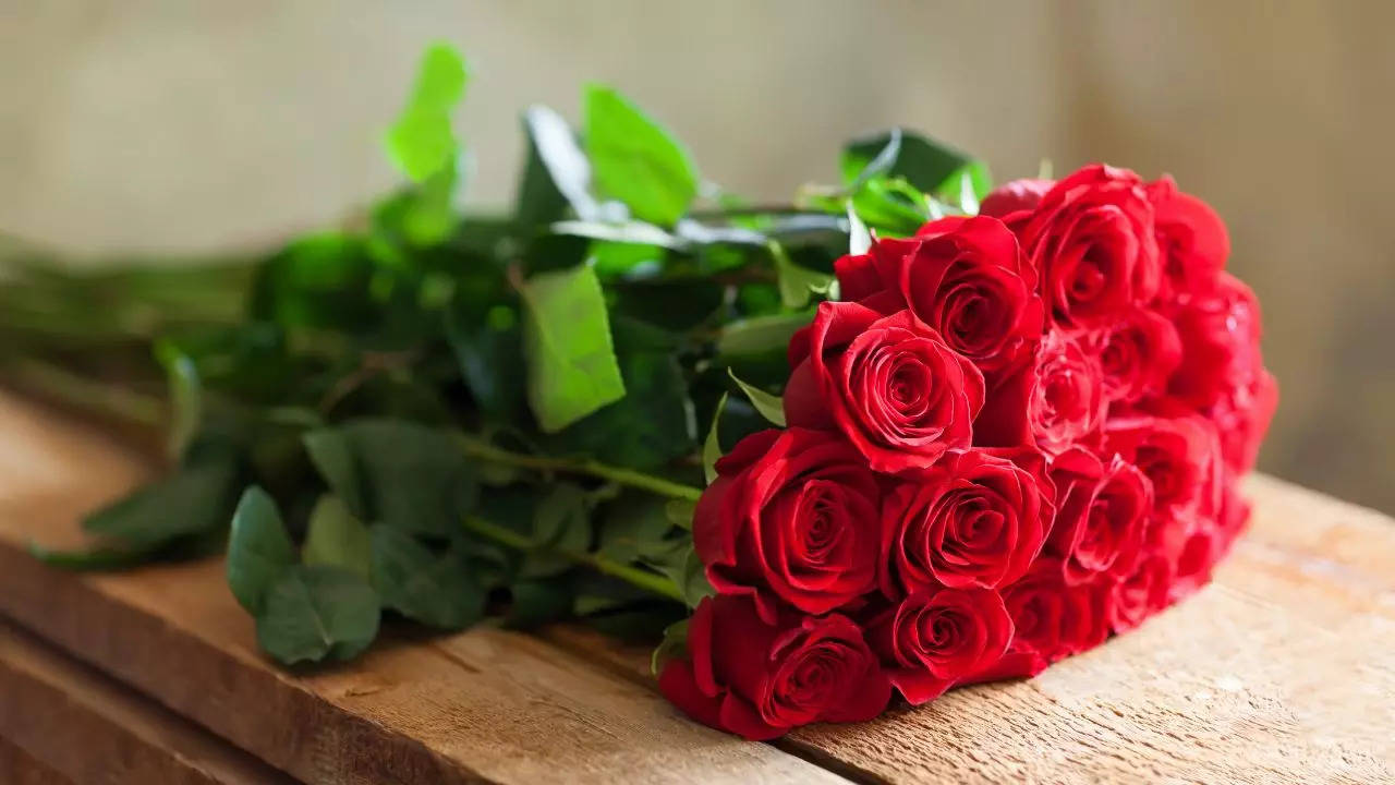 Rose Day 2024: Best Wishes, Stickers, Messages, Status, Images for WhatsApp  and Instagram to Share With Loved Ones | - Times of India