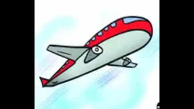 HC asks Alliance Air, CG govt for ‘solid proposals’ on Bilaspur flights