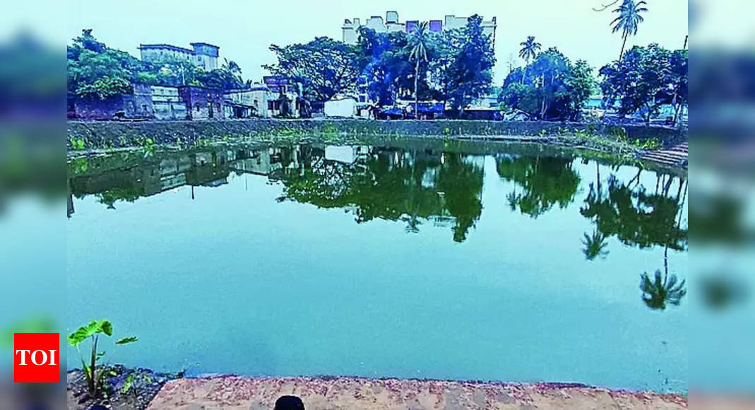 Hc Seeks Status Report On Cuttack Water Bodies | Cuttack News - Times ...