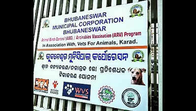 Dog sterilisation centre with 240 kennels debuts in capital city