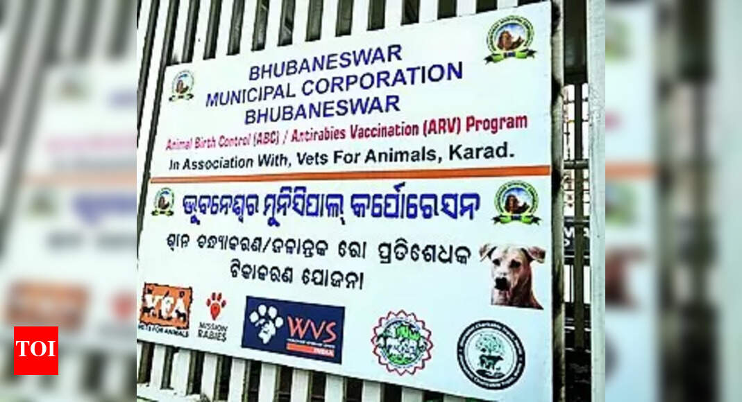 Dog Sterilisation Centre With 240 Kennels Debuts In Capital City