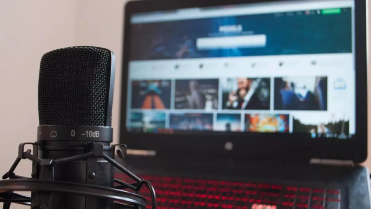 Wired or Wireless Microphone What Is Better For Stage Performances