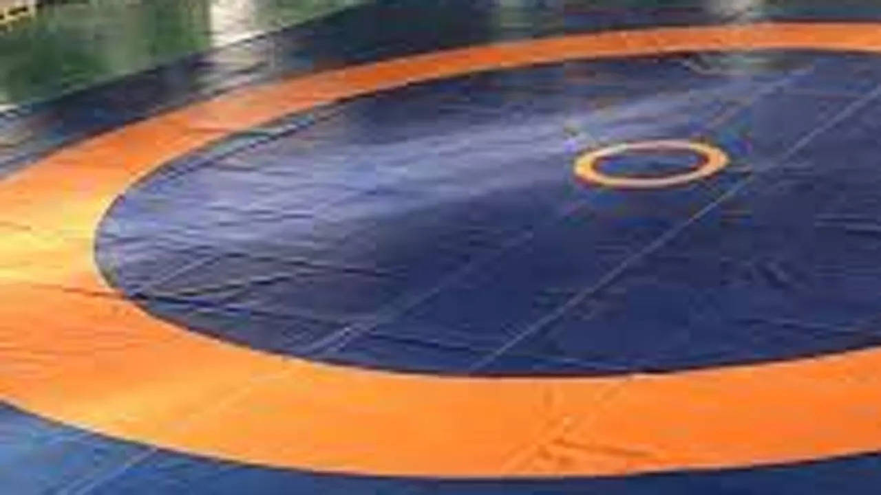 WESING Wrestling mat UWW approved –