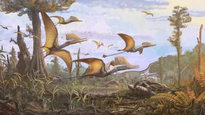 165-million-year-old flying dinosaur species discovered on Scottish Island