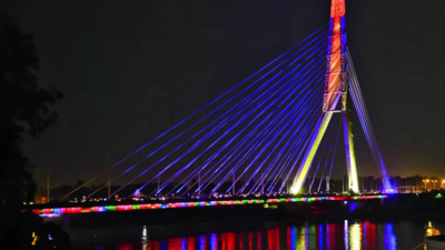 High-strung! Plan for 360 view from atop Signature Bridge comes unstuck