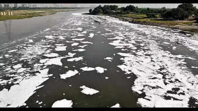 Pollution level in Yamuna on rise, treatment affected