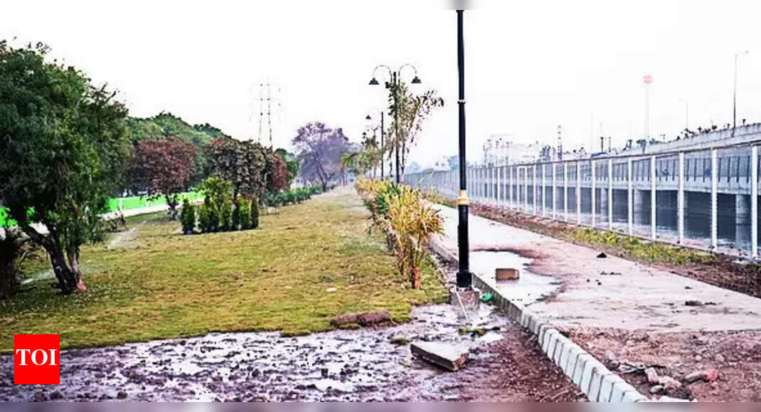 Green Makeover For Barren Stretch Along Sidhwan Canal | Ludhiana News ...