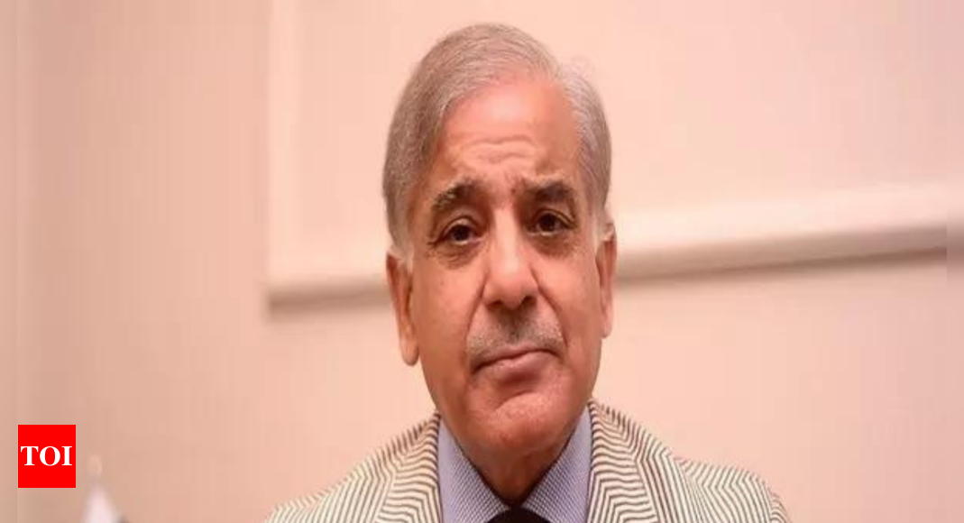 Pakistan Elections: Shehbaz Sharif secures victory with 63,953 votes from Lahore as counting underway