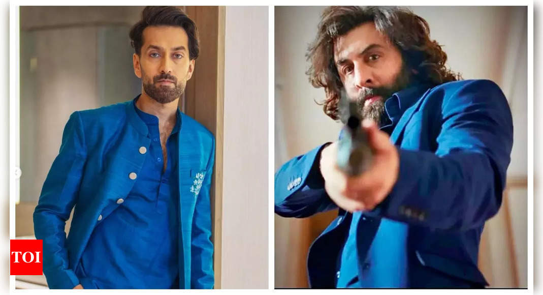 Nakuul Mehta dubs in English for Ranbir Kapoor’s character in ‘Animal’, calls it ‘liberating, powerful and painful’ | Hindi Movie News