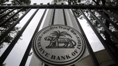 India non-bank lenders must watch underwriting, concentration risks: RBI deputy governor