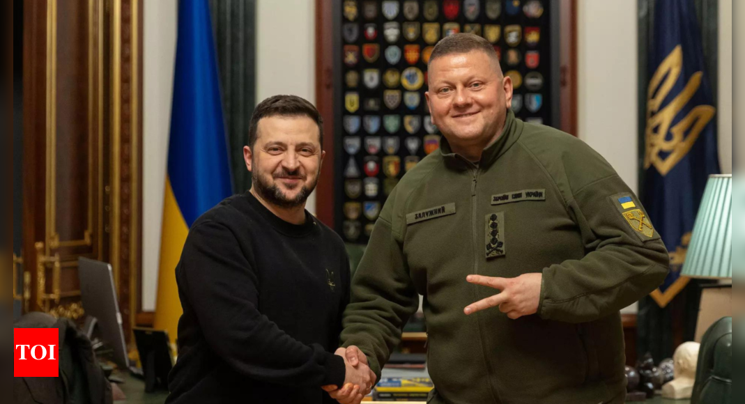 Zelenskyy names ex-army chief Zaluzhnyi ‘hero of Ukraine’ – Times of India