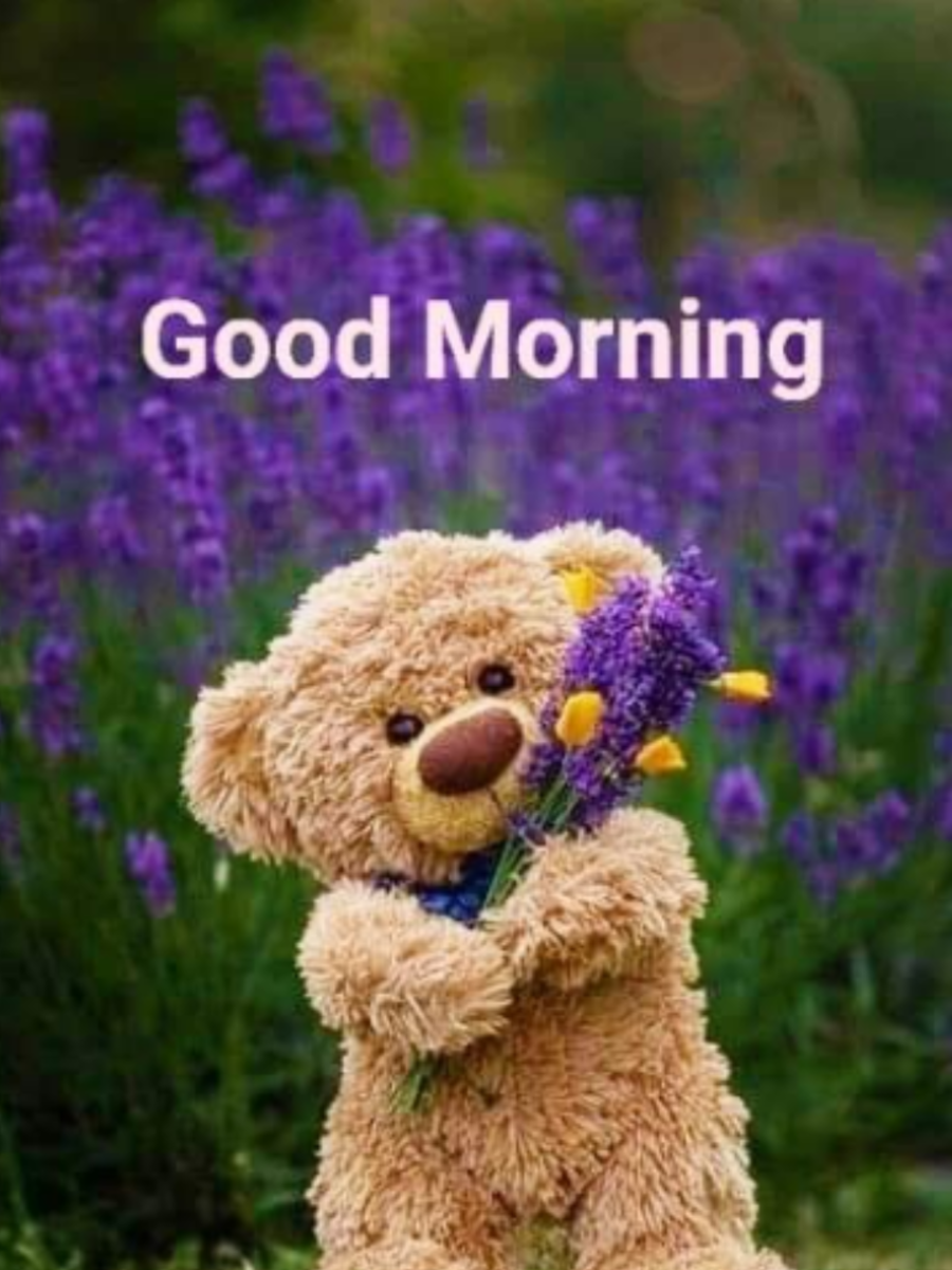 Good Morning Cute Teddy Images To Share With Your Partner | Times Now