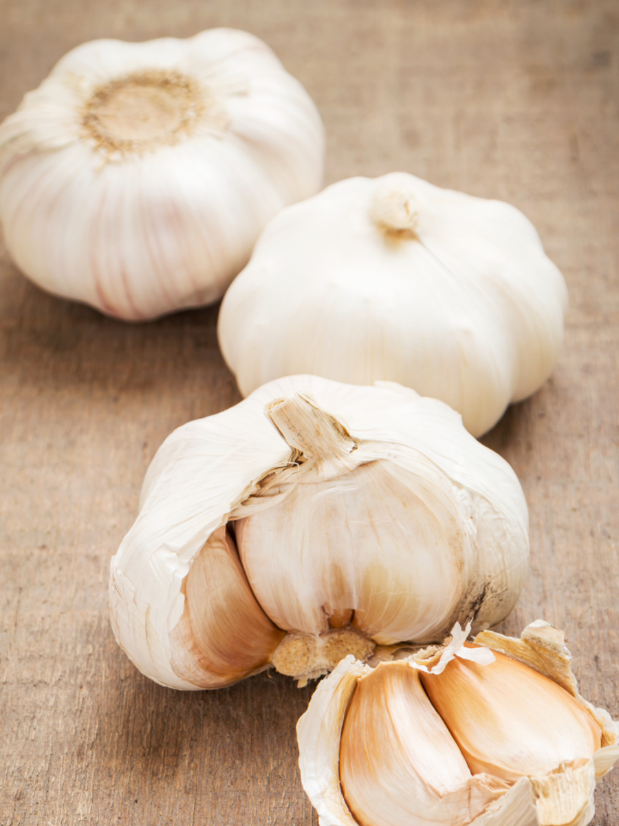 8 Ways To Eat Garlic As Per Ayurveda Times Now