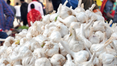 Garlic price at Rs 400 per kg hits kitchen budget in Patna