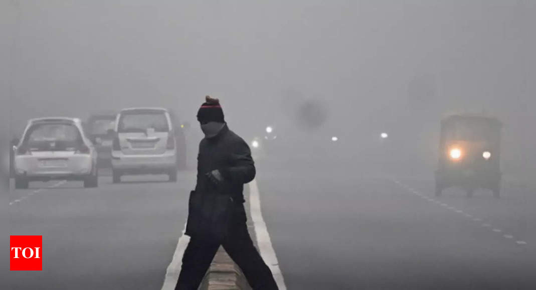 February Sees A Cold Day After 3 Years Delhis Temperature Dips To 52 Celsius Delhi News 0329