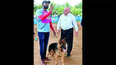 Gsd 2024 show dog