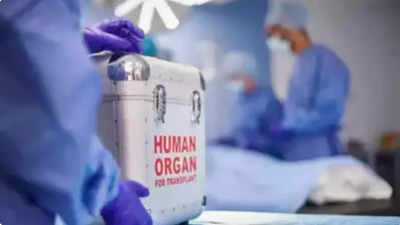 80% of organ transplants between 1995 and 2021 were on men: Government data